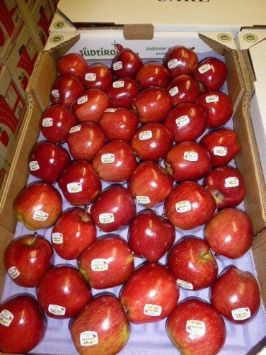 Più ricerca e innovazione nel settore delle mele: il Centro Laimburg partecipa al progetto EUFRUIT