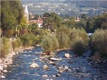 Devono essere effettuati lavori di sfoltimento della vegetazione ripariale per garantire maggiore sicurezza in caso di eventi di piena. - Foto: USP/ Agenzia provinciale per la Protezione Civile