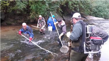 La prova di pesca elettrica lungo il Rio Ega che ha concluso il corso riservato agli acquicoltori (Foto USP)