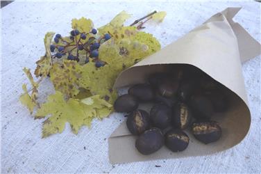 Domenica 6 novembre castagnata al Museo del Vino di Caldaro