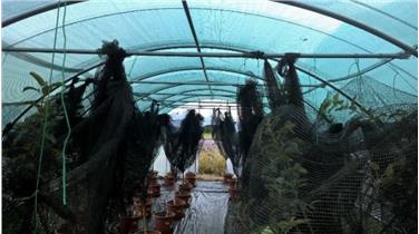 Serre e superfici coperte aumentano efficacia e risultati della ricerca: ok al nuovo impianto nel Centro Laimburg
