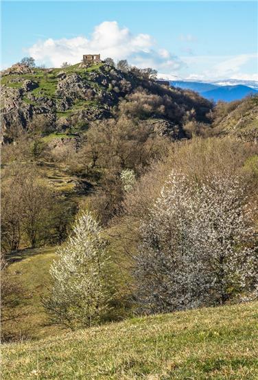 Un'immagine di Castelfeder
