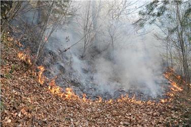 Elevato pericolo incendi boschivi: vige il divieto generalizzato di accendere fuochi ad una distanza inferiore ai 20 metri dal bosco e gettare mozziconi di sigaretta o zolfanelli (USP/Ripartizione Foreste)