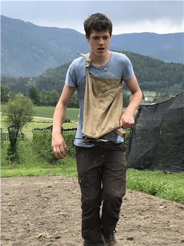 Semina sperimentale di canapa. Dominik Zwiegl, uno degli allievi della Scuola professionale Teodone all'opera (Foto: Scuola professionale Teodone)