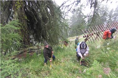 Dall'11 gennaio le sessioni forestali nei Comuni della giurisdizione dell'Ispettorato forestale di Silandro (Foto: USP/Ispettorto Forestale Silandro)