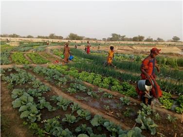 Nell'area del Sahel la Provincia sostiene progetti nel settore della sicurezza alimentare e dell’approvvigionamento idrico (Foto: USP/Affari del Gabinetto)